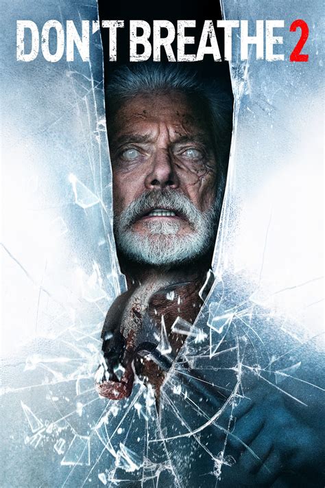 Don't Breathe 2 (2021) .
